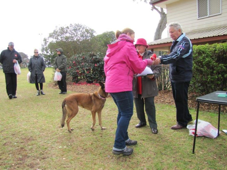 IMG_0223 Toowoomba Dog Obedience Club Inc