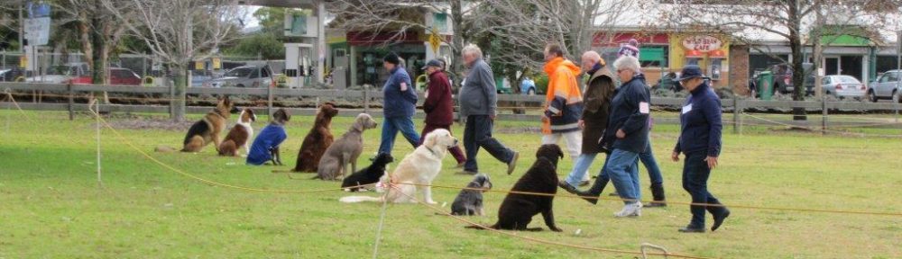 Toowoomba Dog Obedience Club Inc