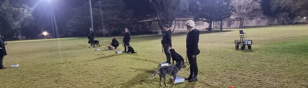 Toowoomba Dog Obedience Club Inc