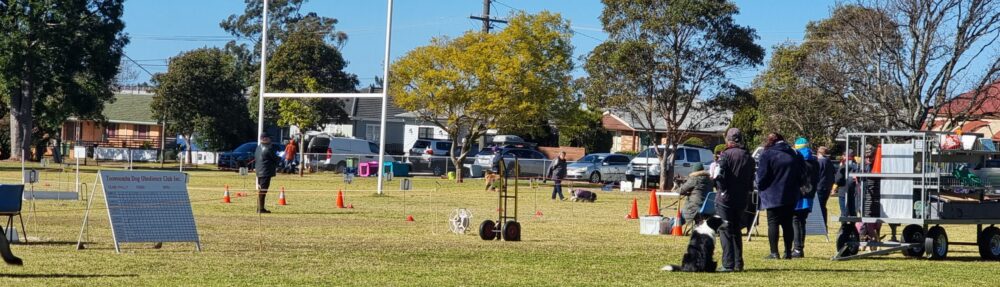 Toowoomba Dog Obedience Club Inc